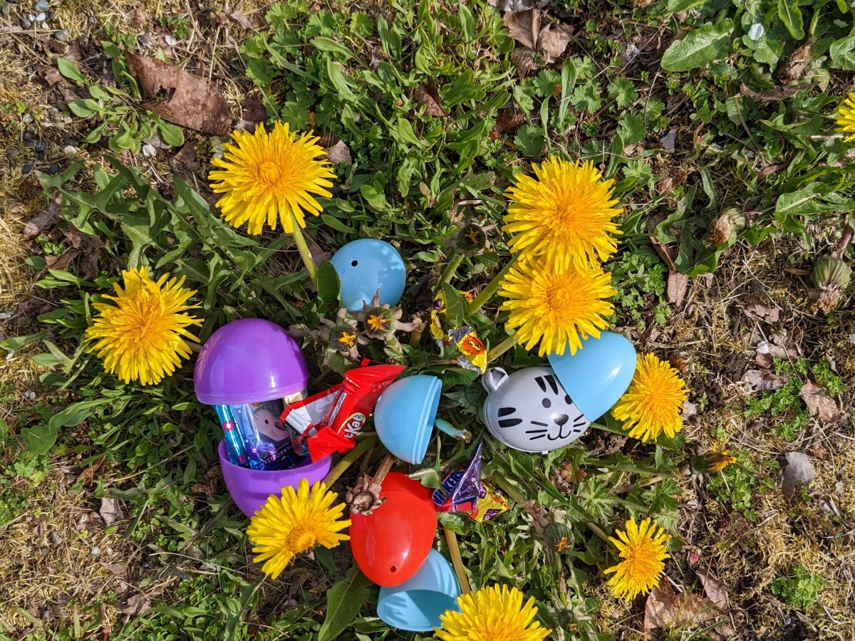 My Easter egg&nbsp;Hunt