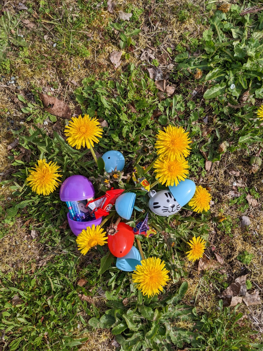 My Easter egg&nbsp;Hunt