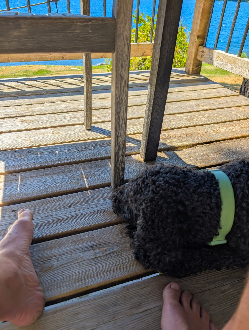 A Dog At My&nbsp;Feet